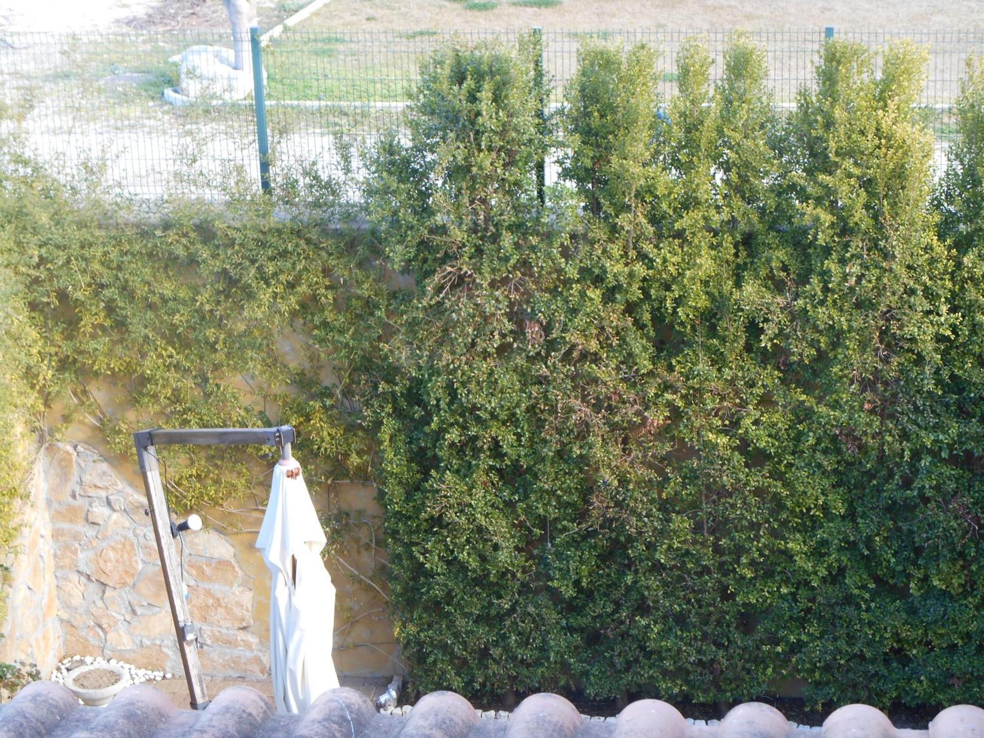 Bed & Breakfast Giardini Di Marzo Лече Екстериор снимка